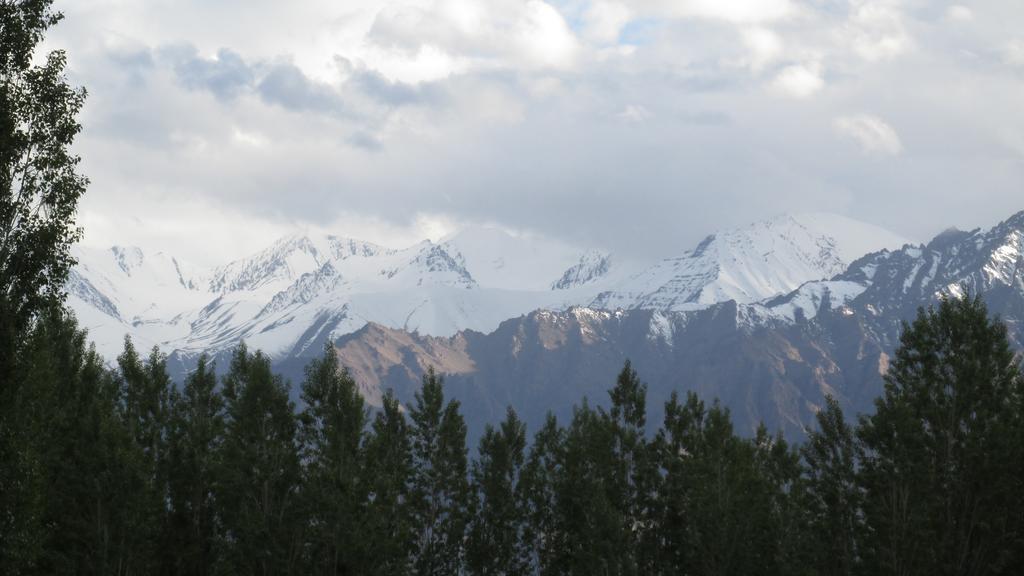Streamlet Homestay Leh Dış mekan fotoğraf